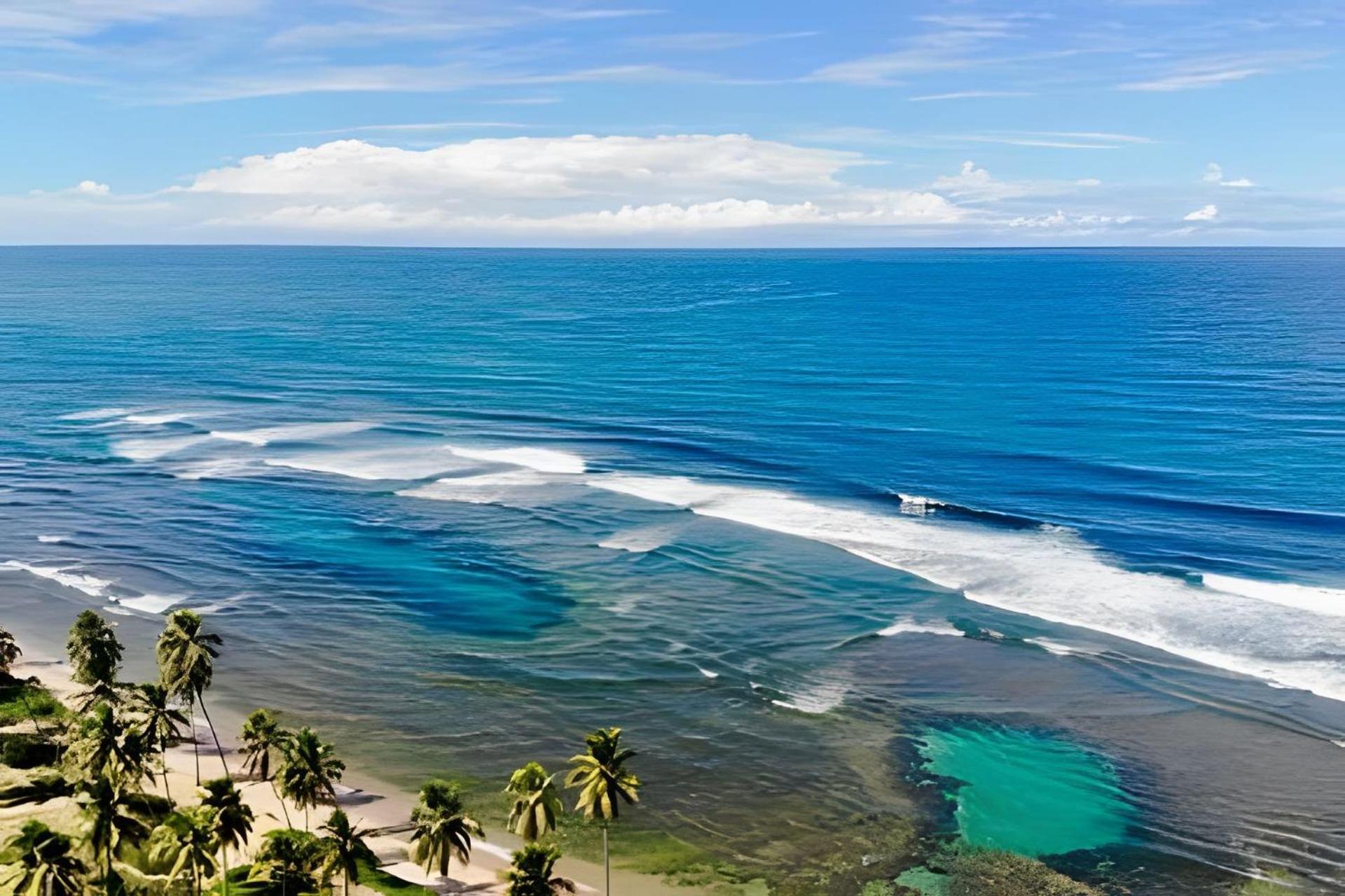 Praia Do Forte Apartamento Fantastico Exteriér fotografie