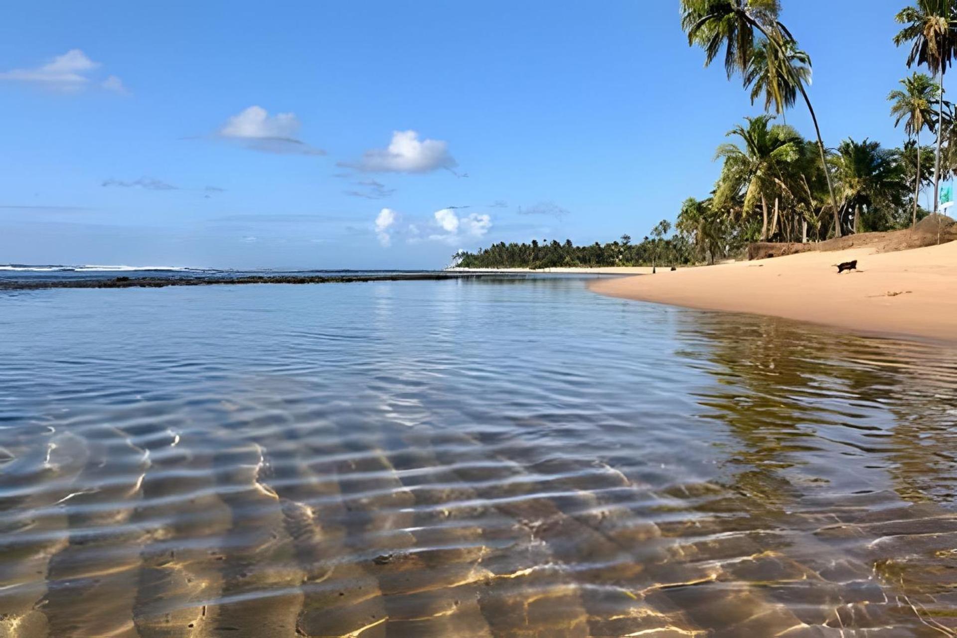 Praia Do Forte Apartamento Fantastico Exteriér fotografie